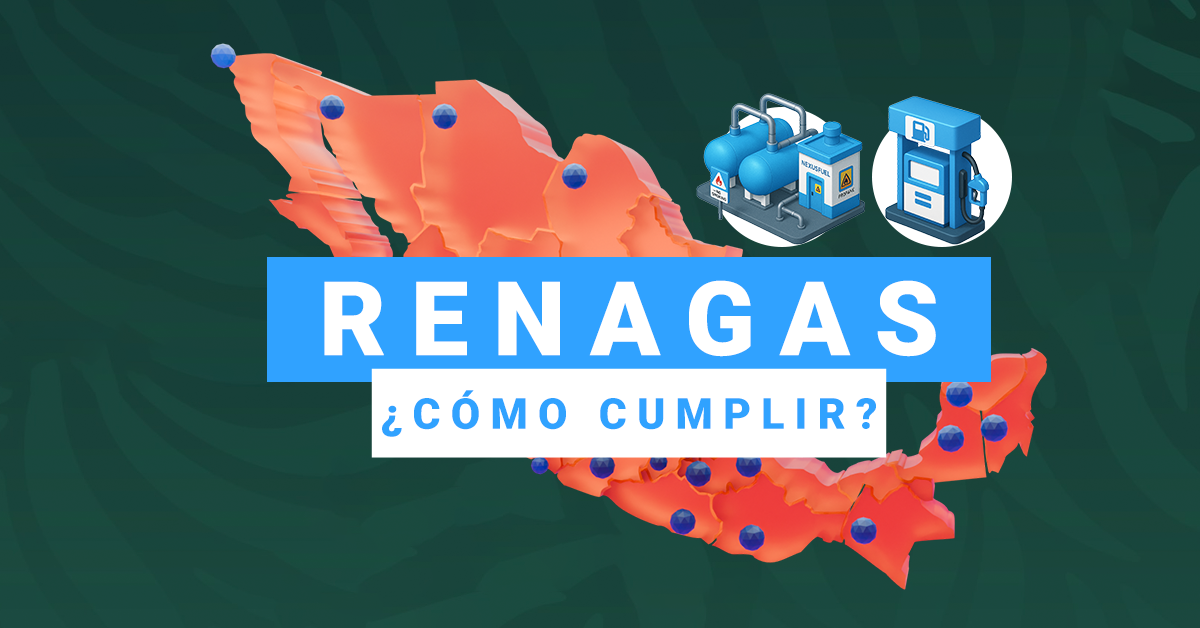RENAGAS | ¿Cómo cumplir?